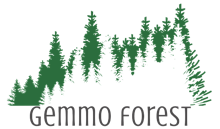 Gemmo Forest
